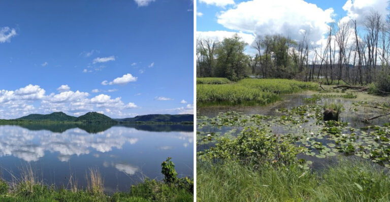 This Massive Wisconsin Bird Sanctuary Draws Photographers From Around The World During Nesting Season