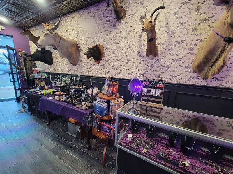 A Store That Feels Like Stepping Into Another World