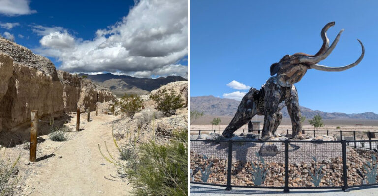 This Nevada State Park Reveals Ice Age Fossils Hidden Beneath The Desert