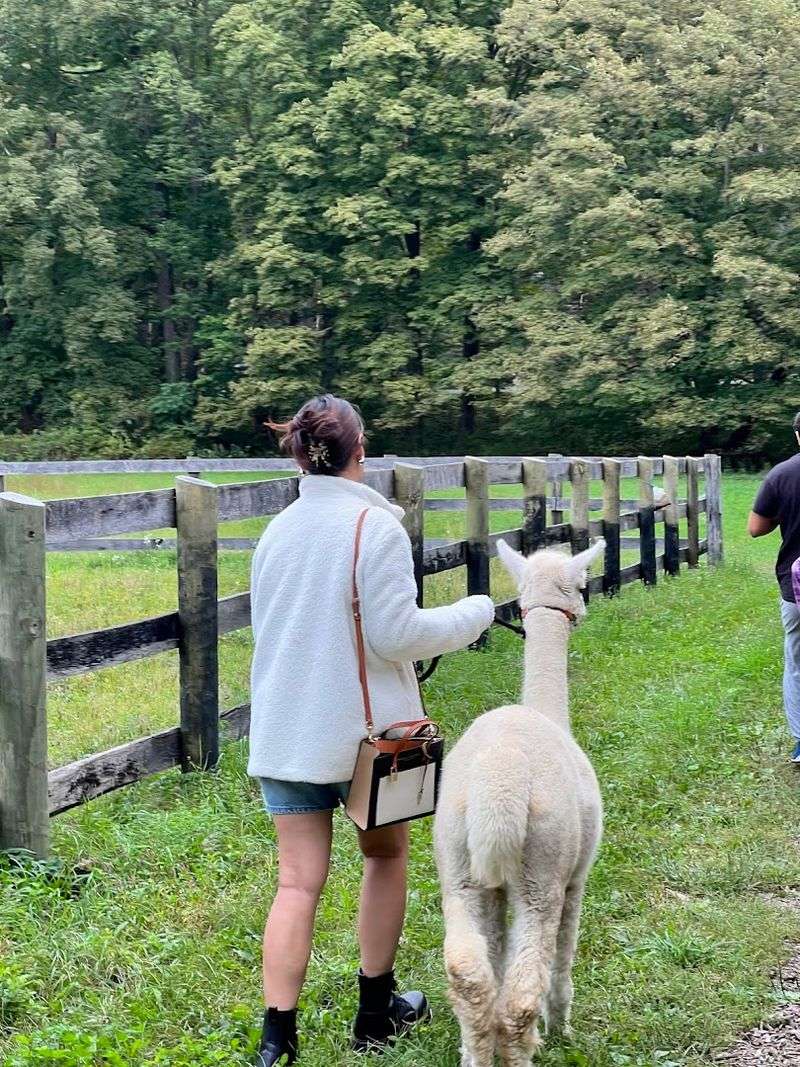 What Makes This Farm Absolutely Worth The Drive