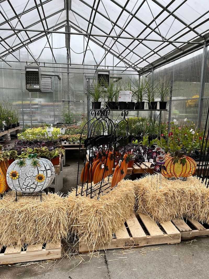 A Greenhouse That Feels Like A Hidden Gem Worth Finding