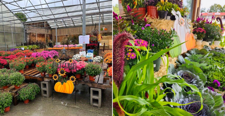 This New York Greenhouse Feels More Like A Fun Day Trip Than A Quick Plant Run