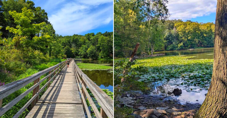 This New York Park Is A Sweet Spring And Early Summer Stop For Families Who Want To Spot Turtles