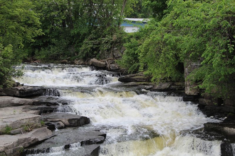 A Waterfall That Stops You In Your Tracks