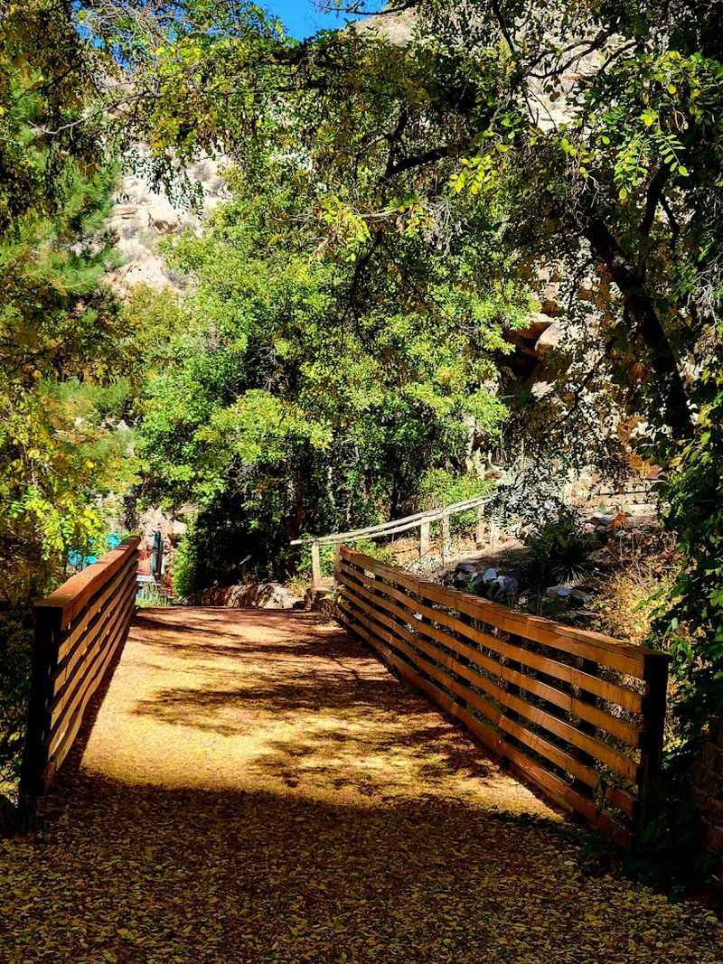 Natural Springs Keep The Landscape Surprisingly Green
