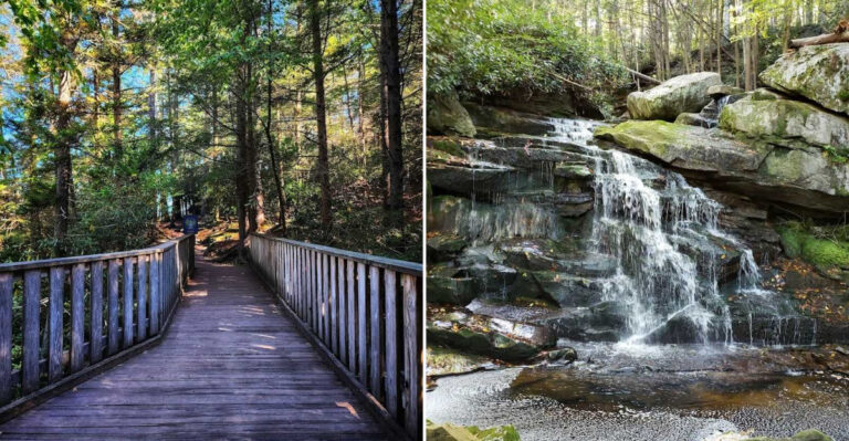 This Peaceful Waterfall Trail In West Virginia Offers One Of The Most Rewarding Hikes In The Region