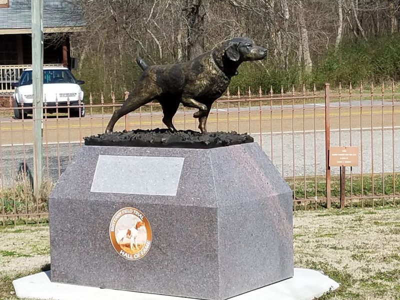 The Only Museum In America Dedicated Entirely To Bird Dogs