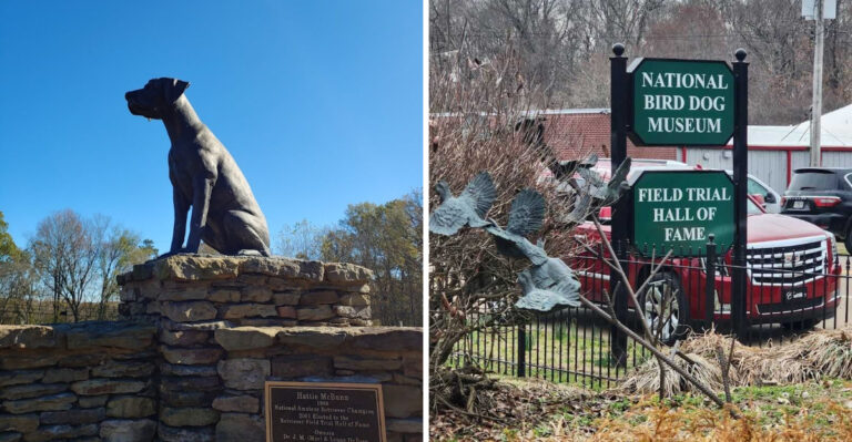 This Quirky Tennessee Museum Is One Of The Strangest Attractions In The Southeast