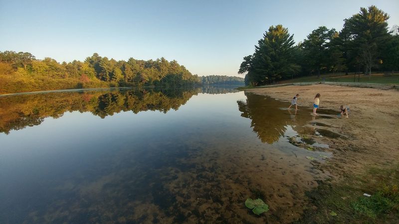 Flora And Fauna Around The Lake