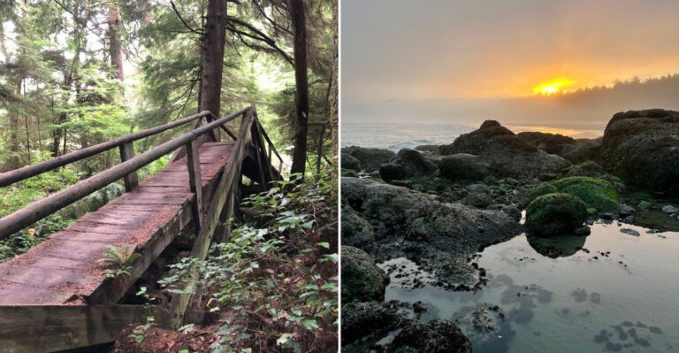 This Rugged Washington Beach Is Famous For Its Massive Sea Caves And Stunning End Of The World Scenery
