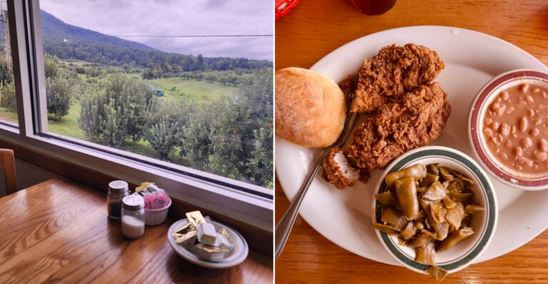 This Rural Tennessee Spot Makes Chicken And Dumplings The Main Event