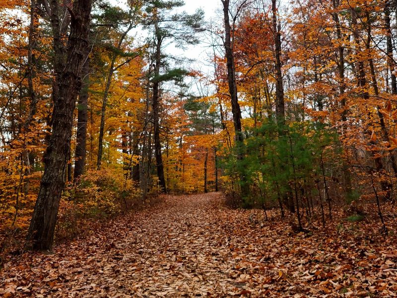 Over 20 Miles Of Trails That Reward Every Kind Of Explorer
