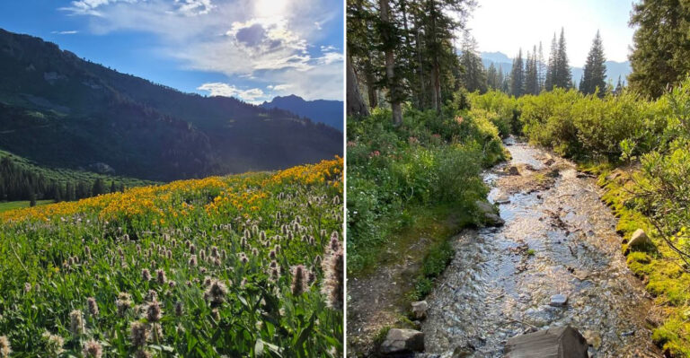 This Scenic Utah Lake Is One Of The Most Underrated Relaxing Destinations In The State