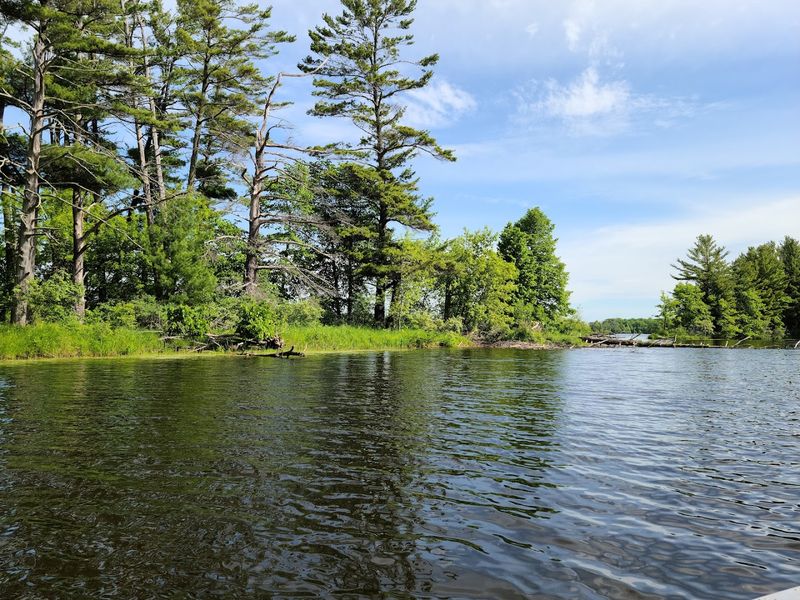 Exploring The Unique Ecosystem Of The Lake