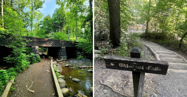 This Short Hike In Tennessee Is A Refreshing Way To Get Outside This May