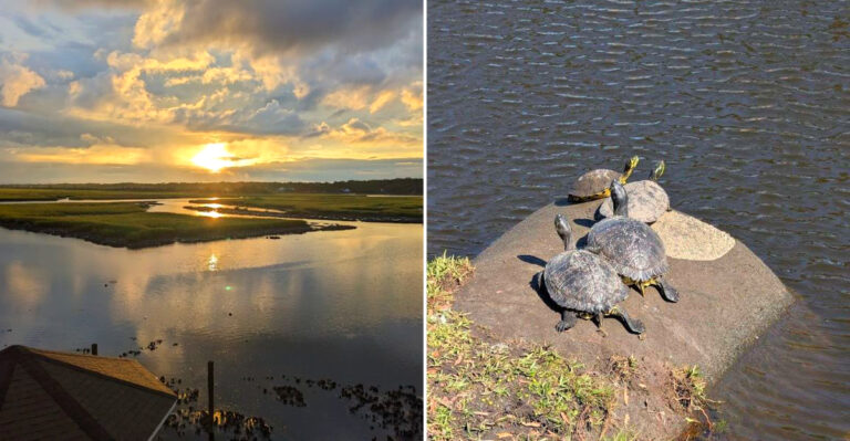 This Small North Carolina Beach Town Offers Affordable Living And A Slower Pace Of Life