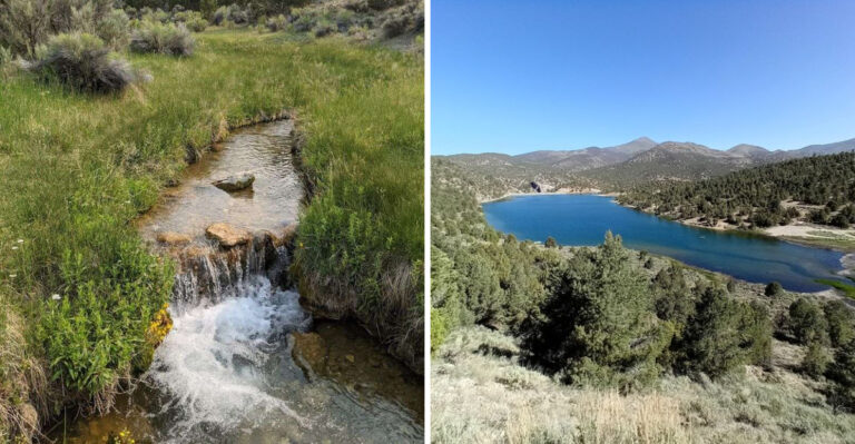 This Stunning Nevada State Park Still Feels Like A Quiet Desert Secret