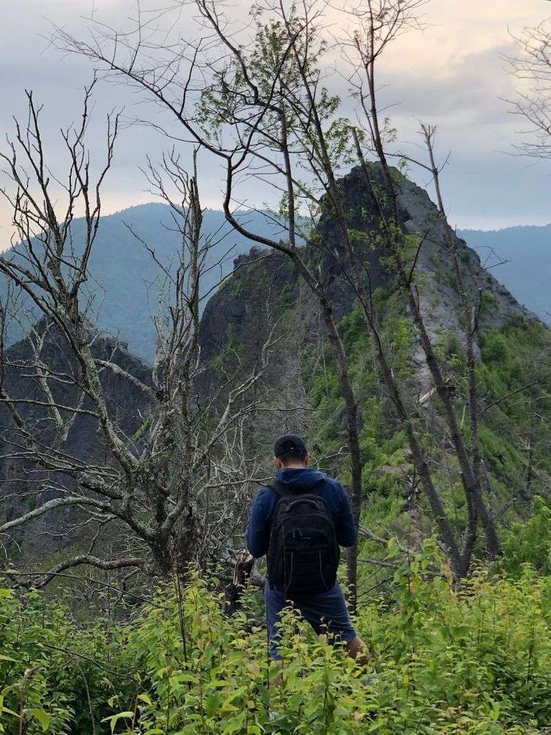 The Trail That Starts Easy And Gets Serious Fast