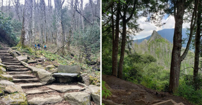 This Tennessee Hike Will Test Your Legs And Your Nerves, And Treat You To Incredible Views