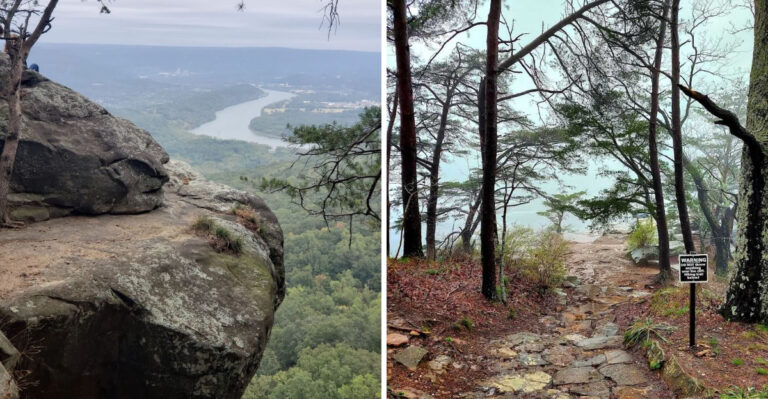 This Tennessee Mountain Overlook Rewards Hikers With One Of The State’s Best Views This Spring