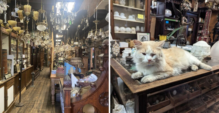 This Tennessee Salvage Yard Is A Decorator’s Dream Come True In 2026