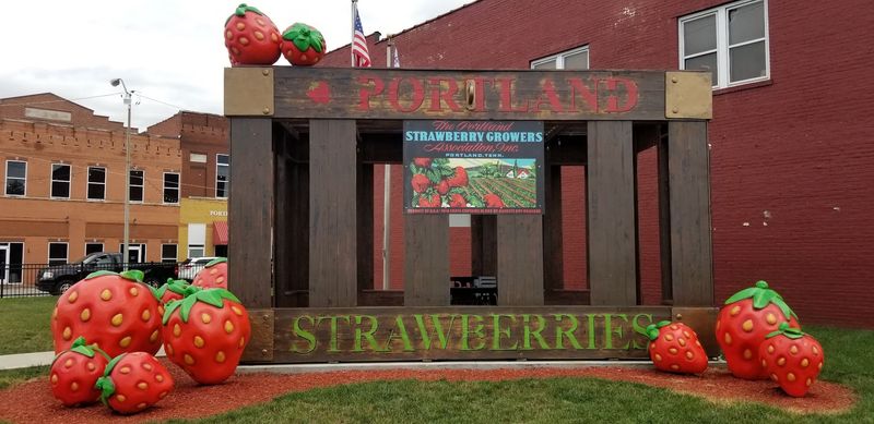 The Strawberry Capital Story That Most People Have Never Heard