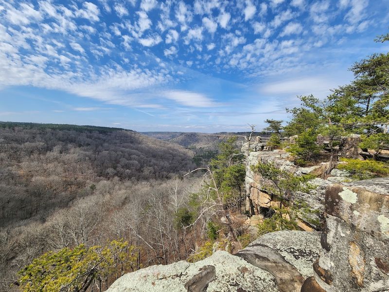 Scenic Hiking Paths Through Diverse Terrain
