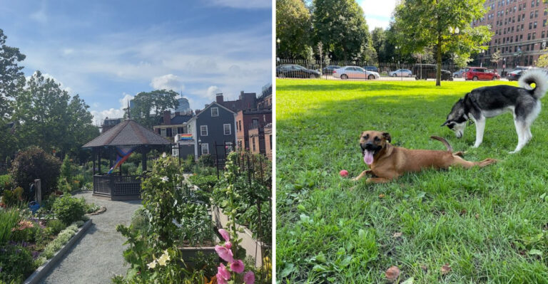 This Underrated City Park In Massachusetts Is Almost Too Pretty To Be Real