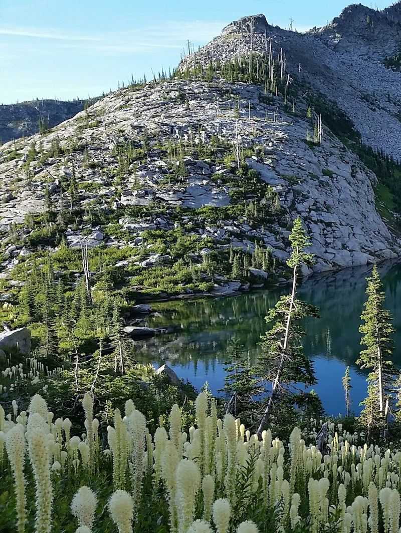 Flora And Fauna Surrounding The Lake