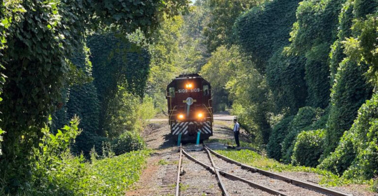 This Unforgettable Train Ride In Tennessee Will Give You Some Of The Most Stunning Views In The State