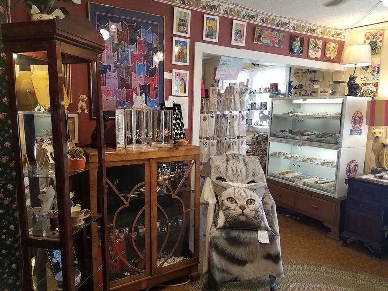 America's Oldest And Largest Cat Shop Has A Remarkable Origin Story