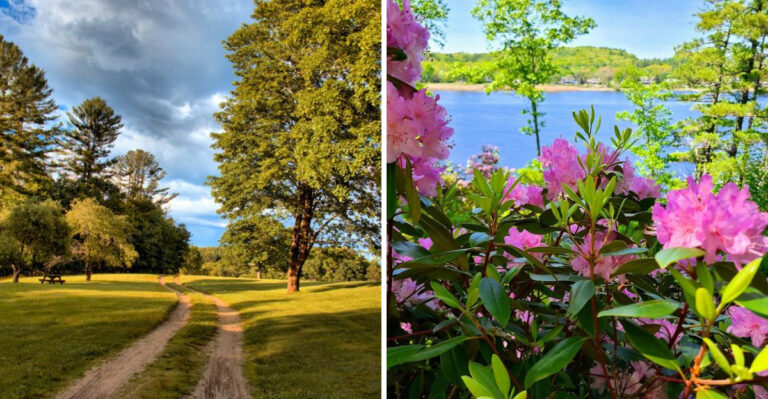 This Wildly Underappreciated State Park May Be Massachusetts’s Best-Kept Place To Visit In 2026