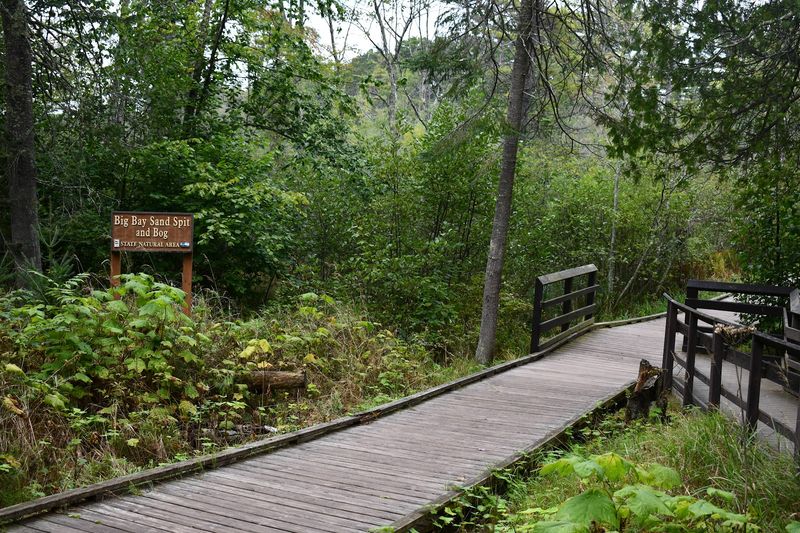 The Boardwalk Leads Through A Rare Bog Landscape