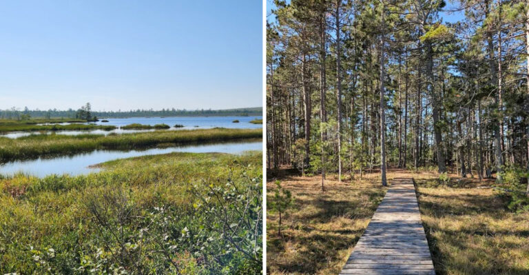 This Wisconsin Boardwalk Trail Leads Through One Of The State’s Most Unusual Landscapes