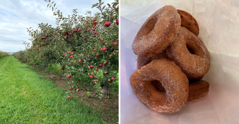 This Wisconsin Cider Mill Serves Mouth-Watering Donuts With Sweet Midwest Charm