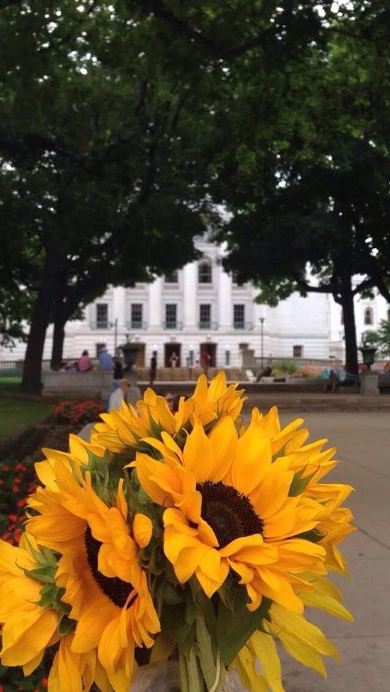 Where The Market And Landmark Meet