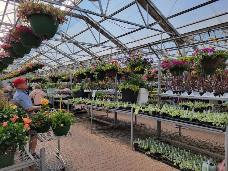 A Wisconsin Greenhouse That Feels Like A Full Day Trip