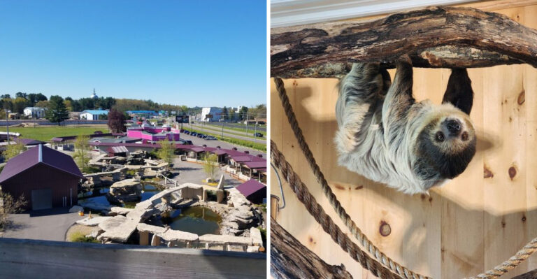 This Wisconsin Wildlife Park Most People Don’t Know About Feels Like A Mini Safari