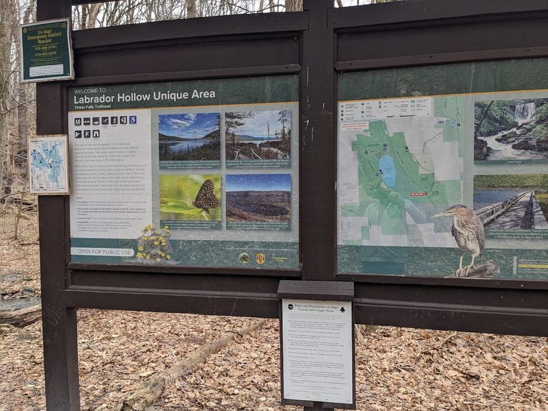 Planning Your Visit For The Best Possible Experience