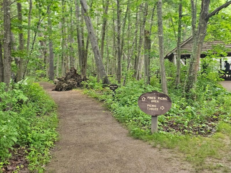 Accessibility Features For Visitors