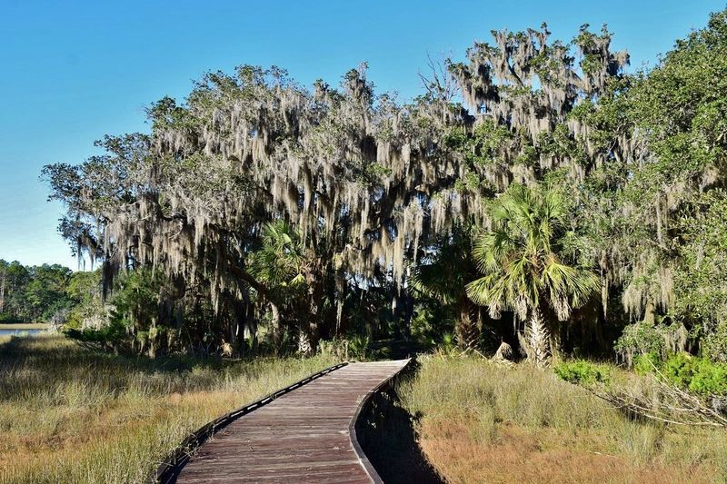Nearby Wildlife Observations And Safety