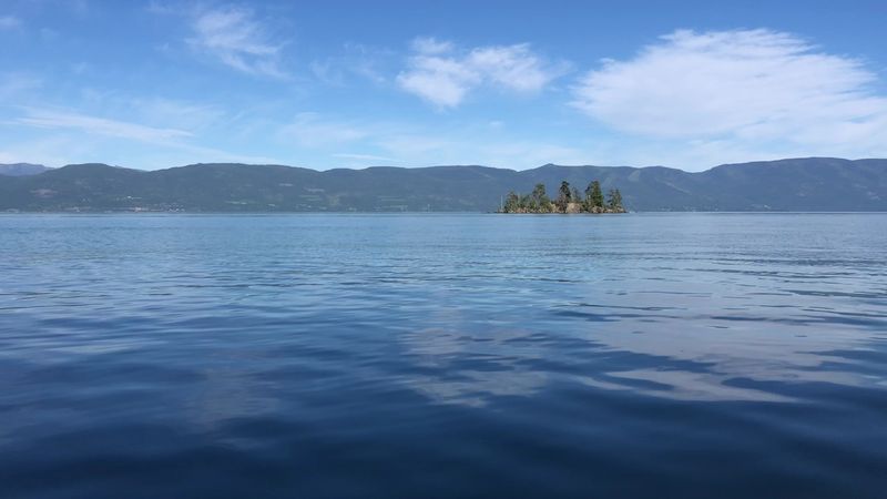 Fishing Regulations And Popular Species Found