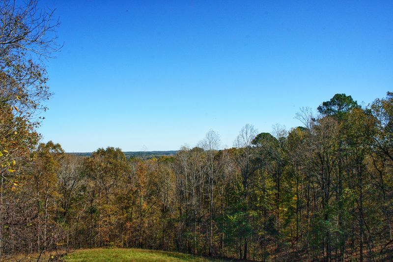 Little Mountain Viewpoint Drive