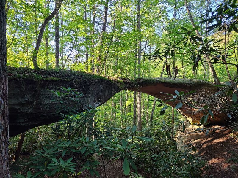 Find The Natural Arch At Pickett State Park, Jamestown