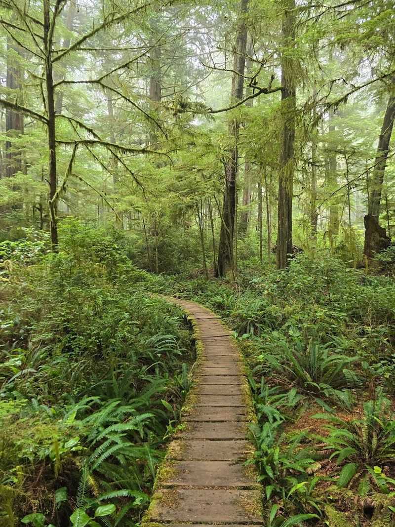 Why This Coastal Hike Belongs On Your List