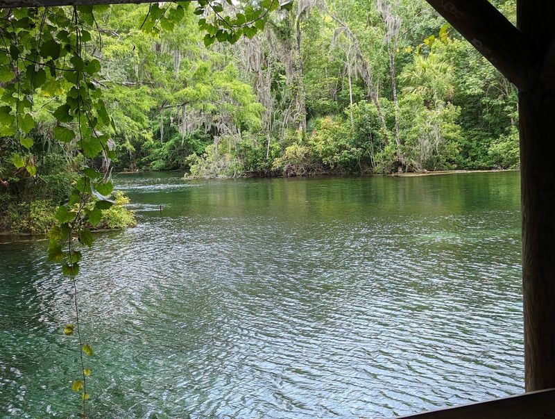 Camping Under The Stars In Florida’s Wild Heart