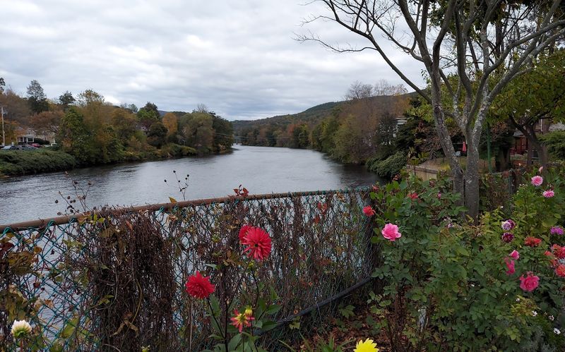 Drive The Mohawk Trail At Peak Fall Foliage, Route 2, Western Massachusetts