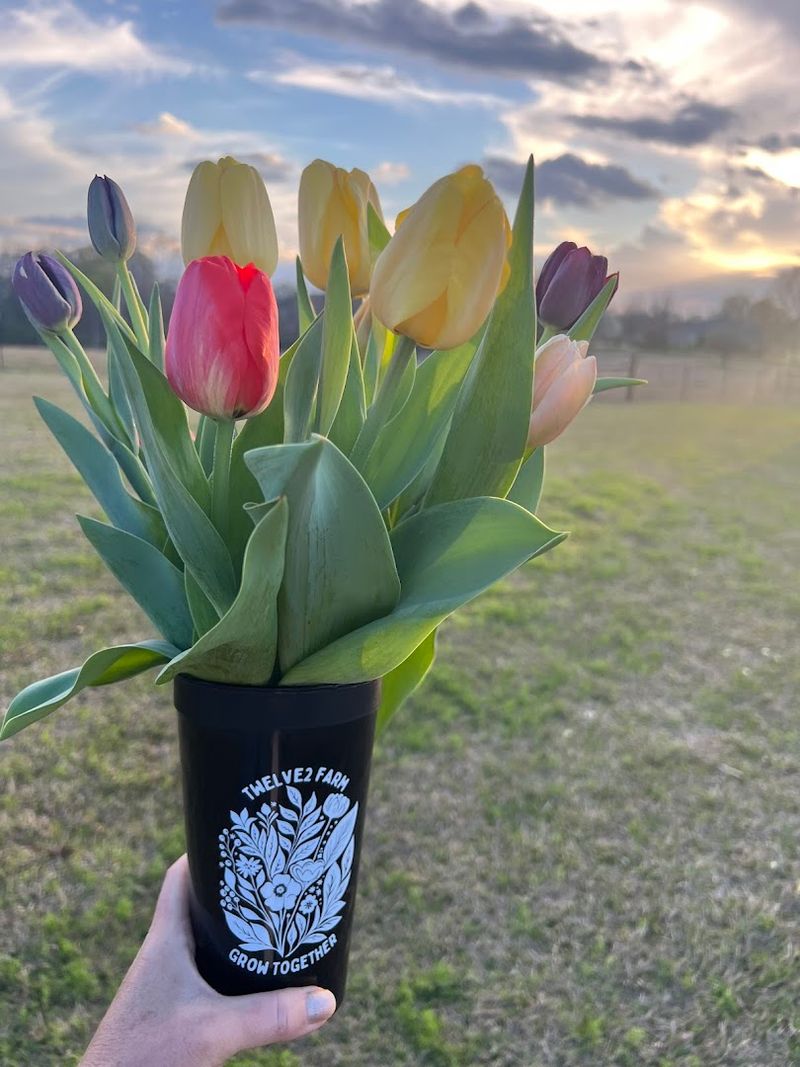 Tulips And Spring Blooms Worth Planning Around
