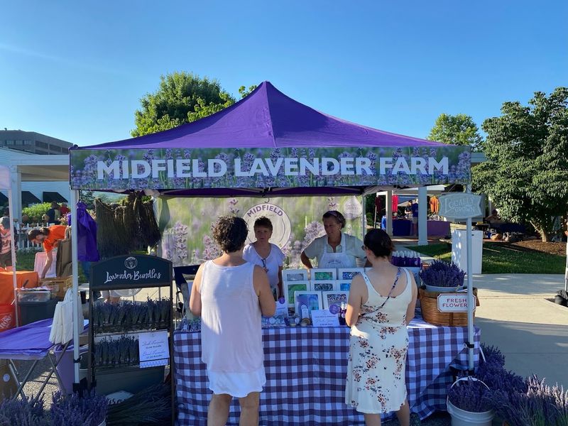 Lavender Lemonade Worth Making The Drive For