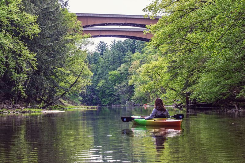 Impact Of The Surrounding Environment On Lake Activity